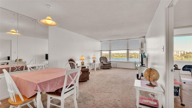 carpeted dining room with a water view and a textured ceiling