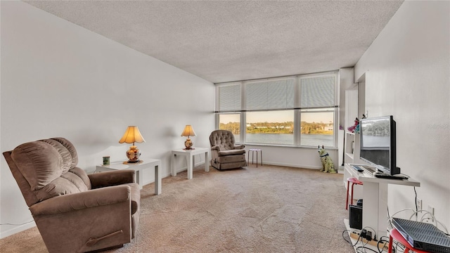 living area with light carpet and a textured ceiling