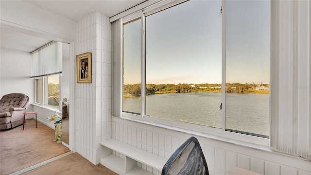 sitting room featuring plenty of natural light, a water view, and light carpet