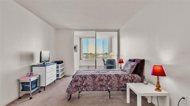 bedroom featuring light carpet and a textured ceiling