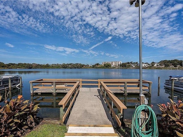 dock area with a water view