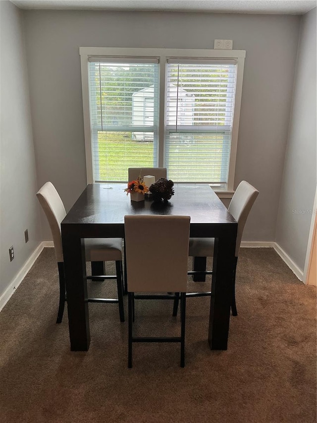 dining room featuring a wealth of natural light and carpet