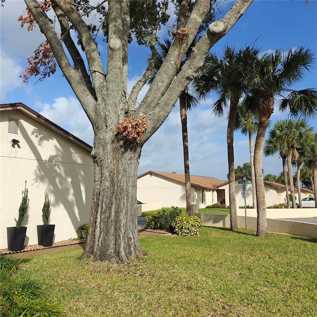 view of property exterior with a lawn