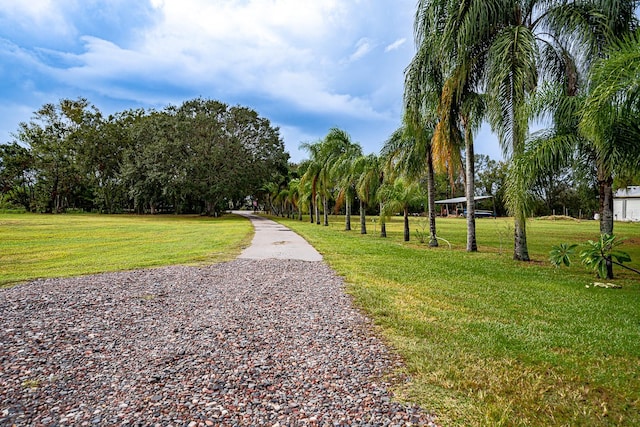 view of home's community featuring a lawn