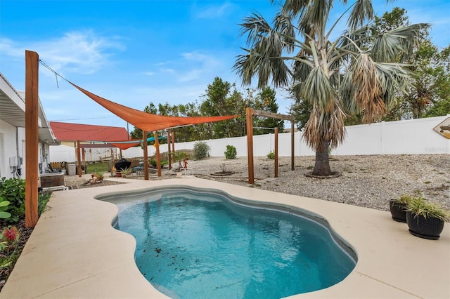 view of pool featuring a patio