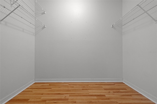 walk in closet with wood-type flooring