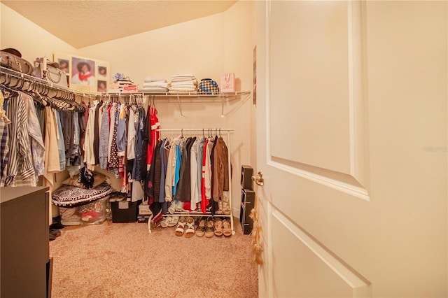 walk in closet featuring carpet flooring