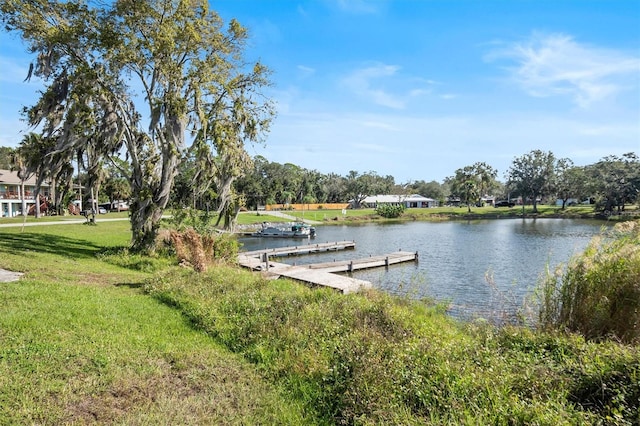 dock area featuring a yard and a water view