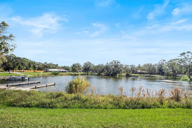 property view of water with a dock