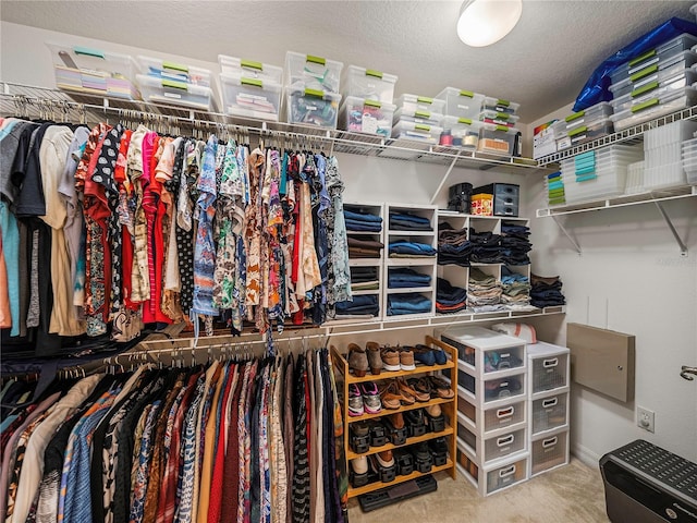 spacious closet with carpet flooring