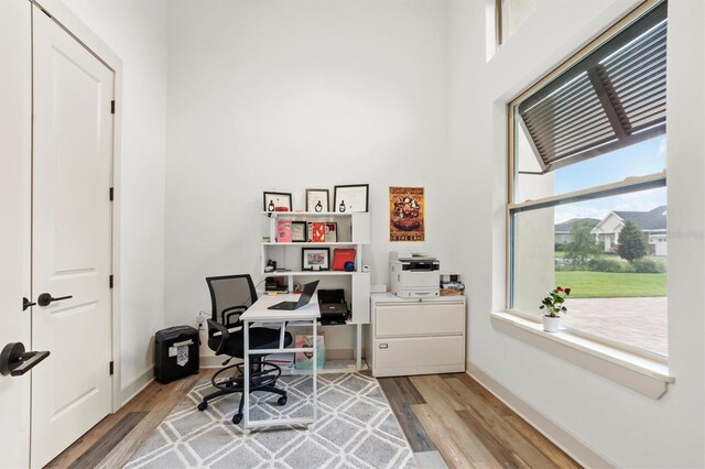 193 Stargrass Dr, Auburndale, FL 33823 - office featuring light wood-style floors and baseboards