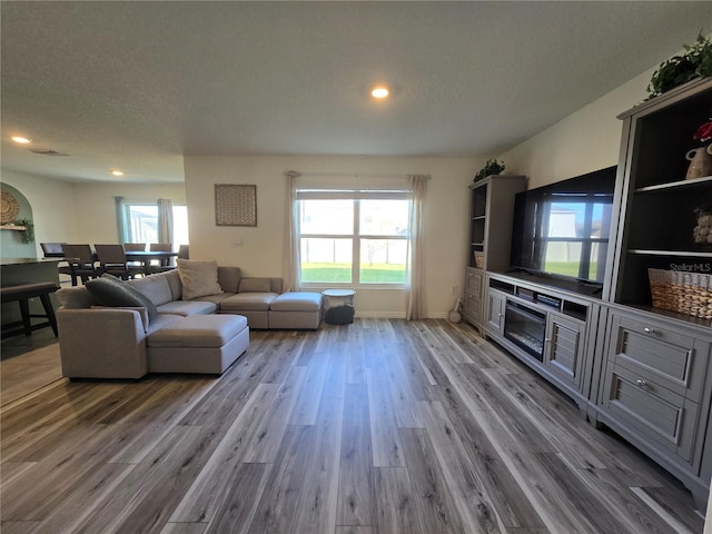 living room with a healthy amount of sunlight, a textured ceiling, and hardwood / wood-style flooring