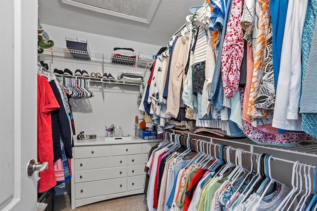 view of walk in closet