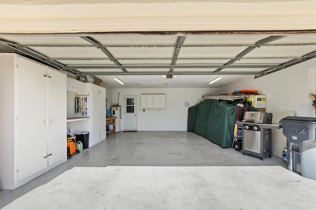 garage with a garage door opener