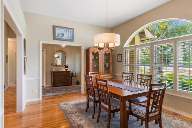 dining space with a wealth of natural light and light hardwood / wood-style floors