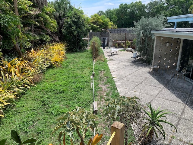 view of yard with a patio area