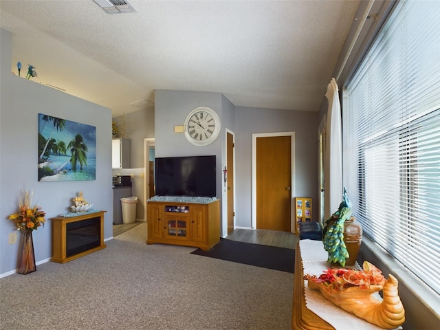 carpeted living room with a textured ceiling and lofted ceiling