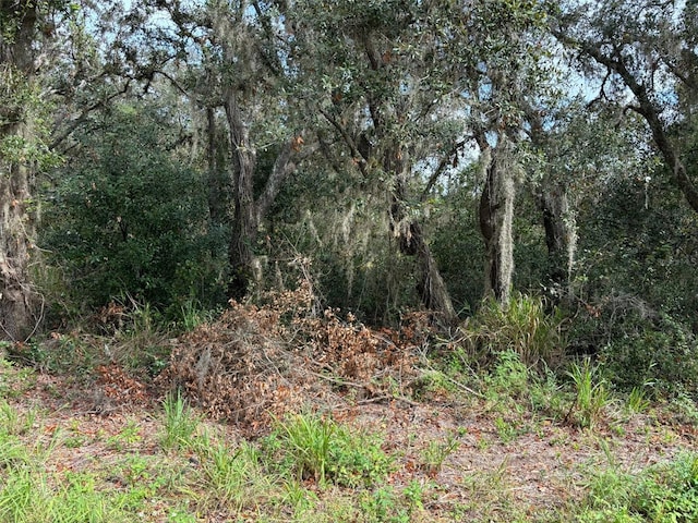 Listing photo 2 for Avon Park Cutoff Rd, Frostproof FL 33843