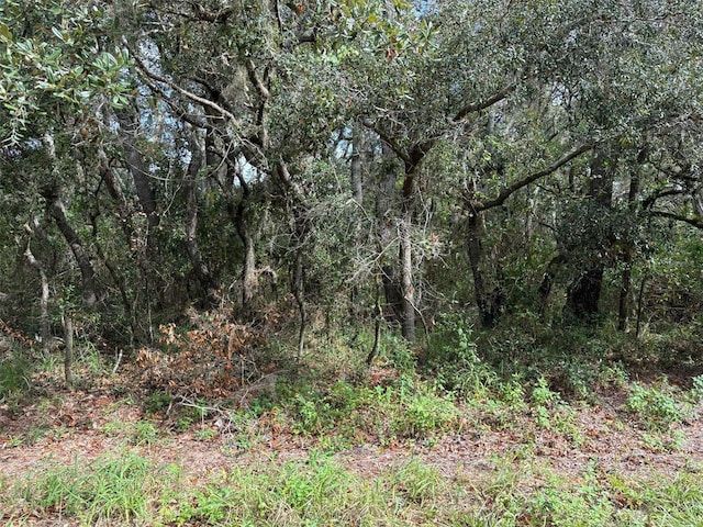 Avon Park Cutoff Rd, Frostproof FL, 33843 land for sale