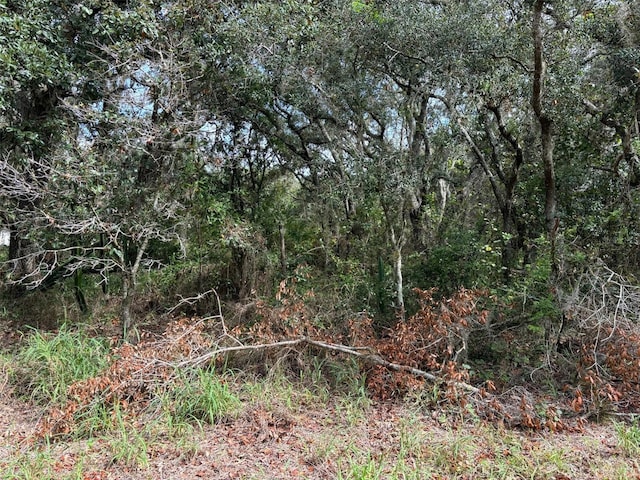 Listing photo 2 for Avon Park Cutoff Rd, Frostproof FL 33843