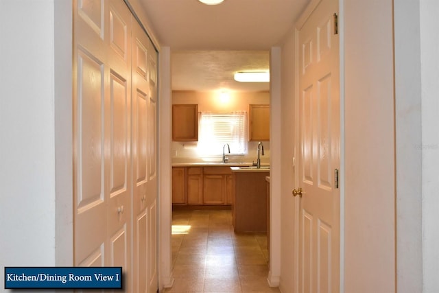 hall featuring a sink