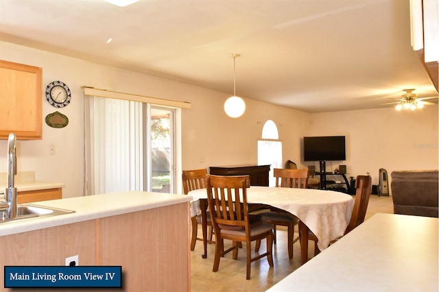 dining room with ceiling fan and a wealth of natural light