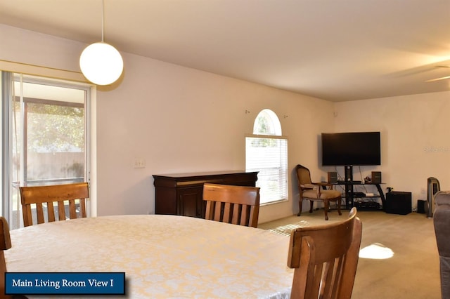 carpeted dining room featuring ceiling fan and a healthy amount of sunlight