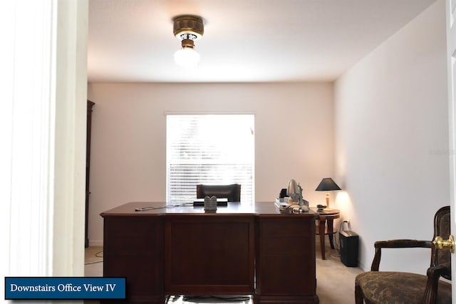 office space with light carpet