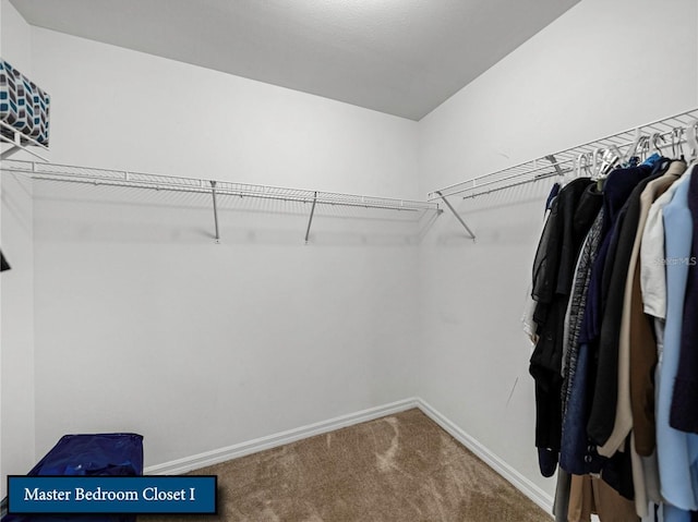 spacious closet featuring carpet floors