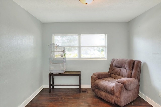 sitting room featuring dark wood-type flooring