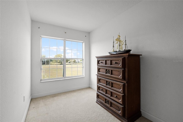 bedroom with carpet