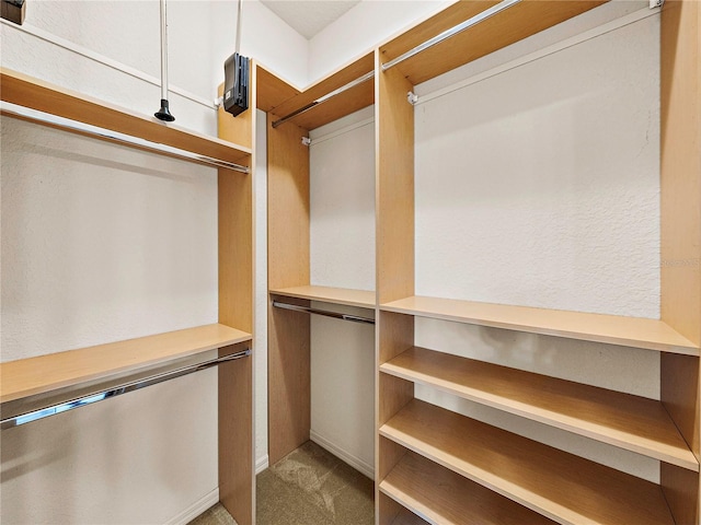 spacious closet with carpet flooring