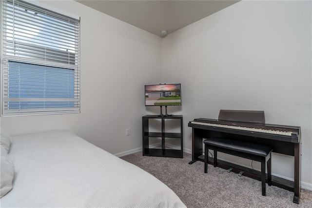 bedroom with carpet floors