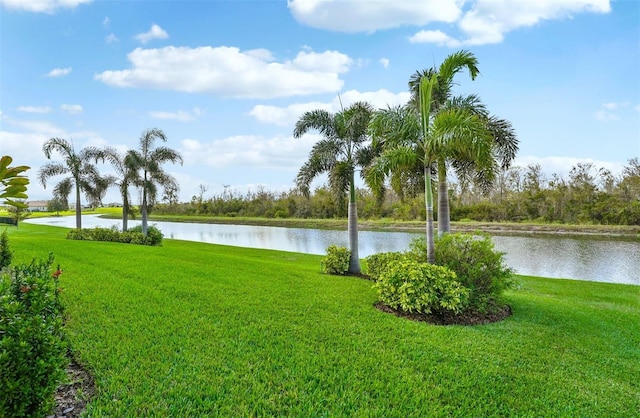 view of water feature