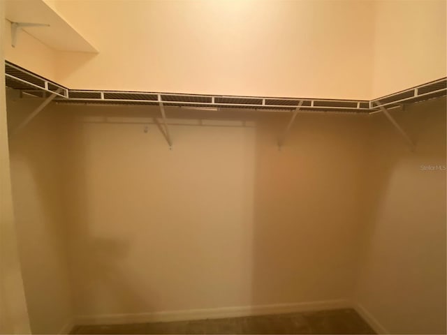 view of walk in closet