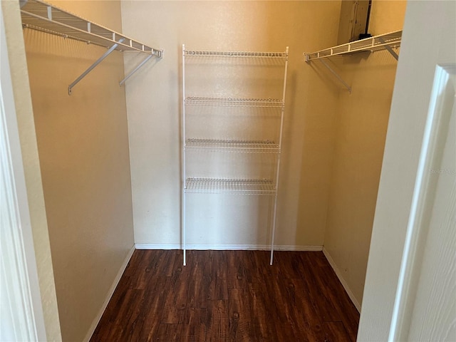 spacious closet with dark wood-type flooring