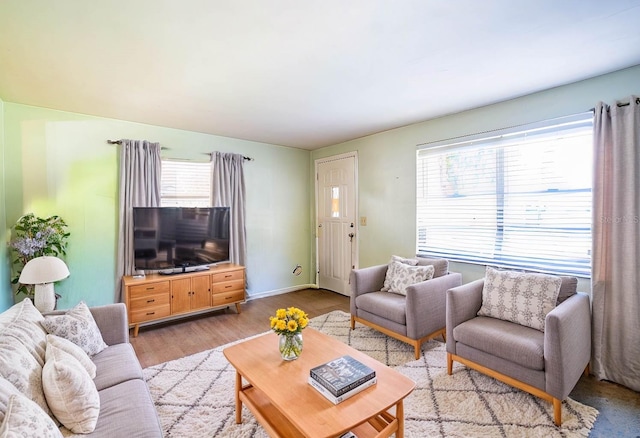 living room with light hardwood / wood-style flooring