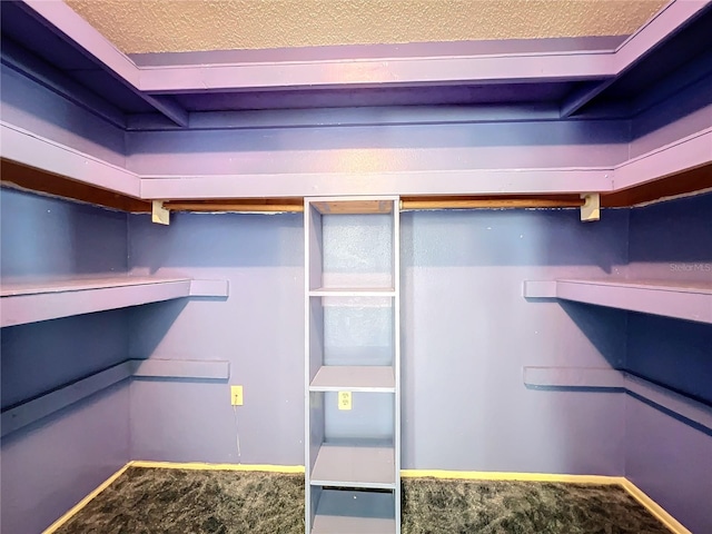 walk in closet with carpet flooring