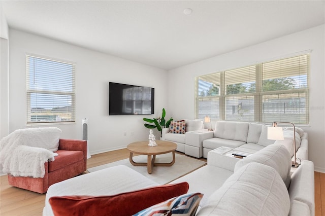 living room with light wood-type flooring