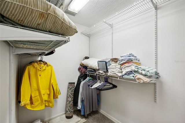 walk in closet with carpet floors