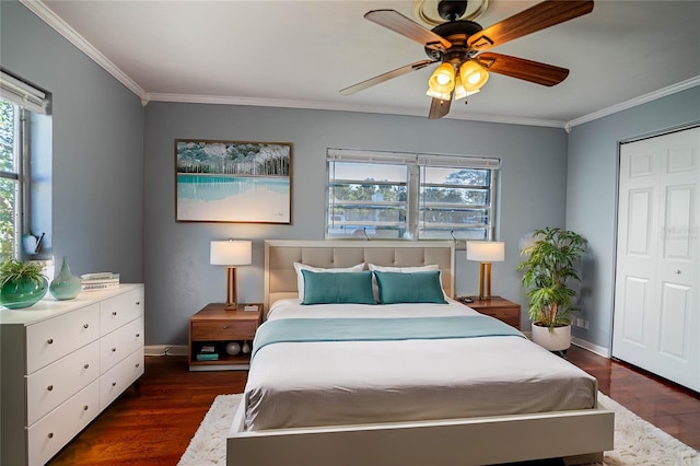 bedroom with crown molding, ceiling fan, a closet, and dark wood-type flooring