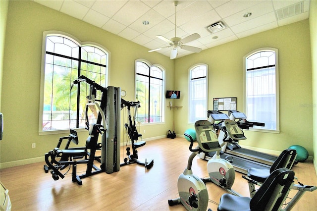 1644 Linz Ct, Winter Haven, FL 33884 - exercise room with healthy amount of natural light, wood finished floors, baseboards, a ceiling fan, and a paneled ceiling