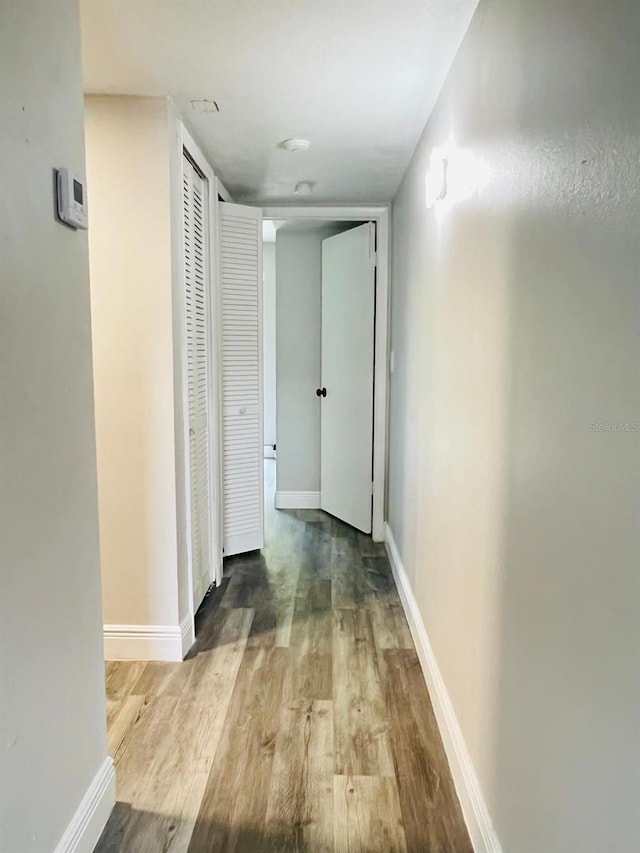 7108 Waterside Dr Unit 103, Tampa, FL 33617 - hall featuring wood finished floors and baseboards
