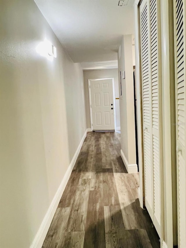7108 Waterside Dr Unit 103, Tampa, FL 33617 - hallway with dark wood-style floors and baseboards