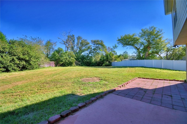 view of yard featuring a patio