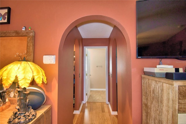 hallway with hardwood / wood-style floors