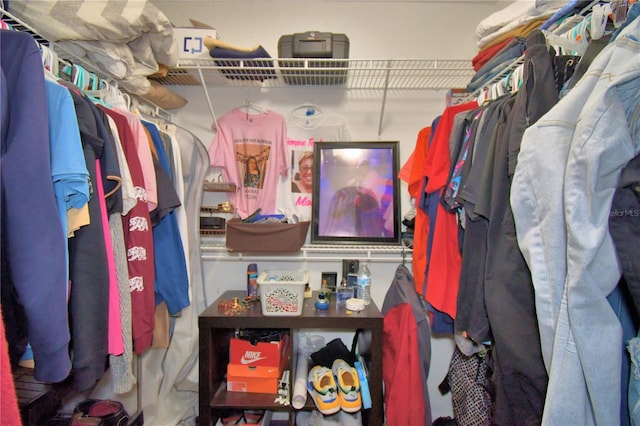 view of spacious closet