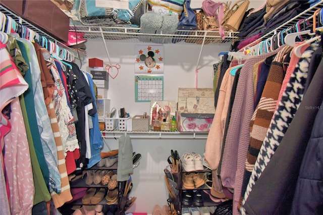 view of spacious closet