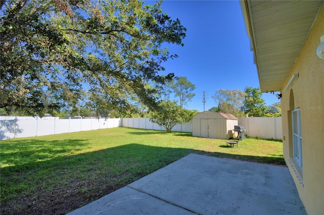 view of yard featuring a storage shed and a patio area