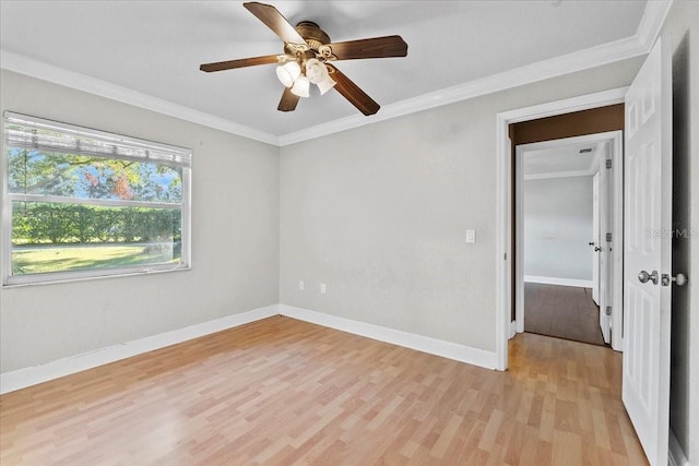 spare room with ceiling fan, light wood-type flooring, and crown molding